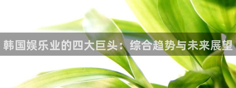 辉达平台是赌博吗：韩国娱乐业的四大巨头：综合趋势与未来展望