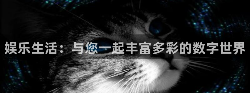 辉达平台3登录：娱乐生活：与您一起丰富多彩的数字世界