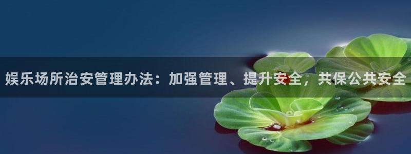 辉达平台体育平台开号链接：娱乐场所治安管理办法：加强管理、提升安全，共保公共安全