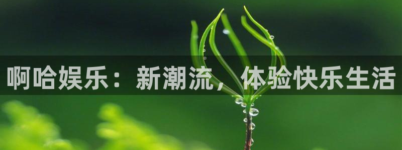 辉达平台账号注册：啊哈娱乐：新潮流，体验快乐生活