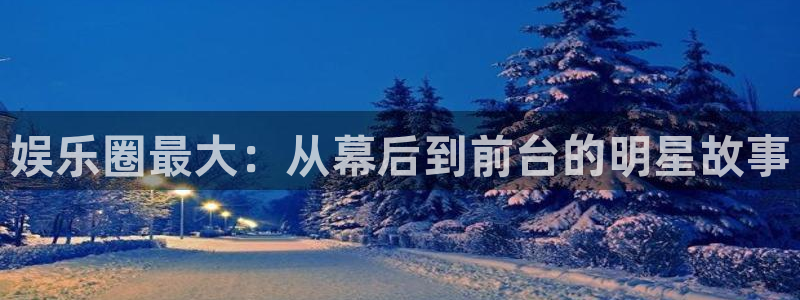 辉达平台平台官网版下载：娱乐圈最大：从幕后到前台的明星故事