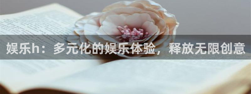 辉达平台零能源集团：娱乐h：多元化的娱乐体验，释放无限创意