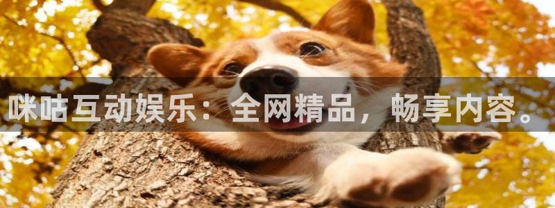 辉达平台注册链接：咪咕互动娱乐：全网精品，畅享内容。