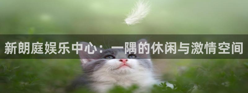 辉达平台3登陆