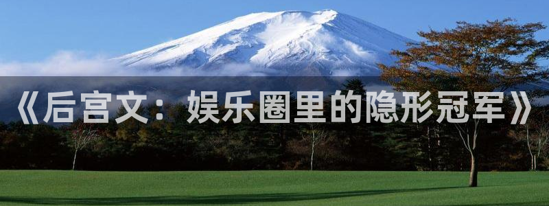 辉达平台平台官网版最新